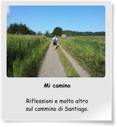 Mi camino  Riflessioni e molto altro sul cammino di Santiago.