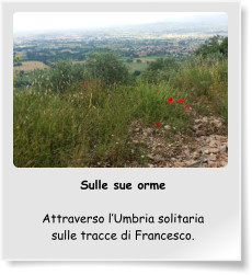 Sulle sue orme  Attraverso l’Umbria solitaria sulle tracce di Francesco.